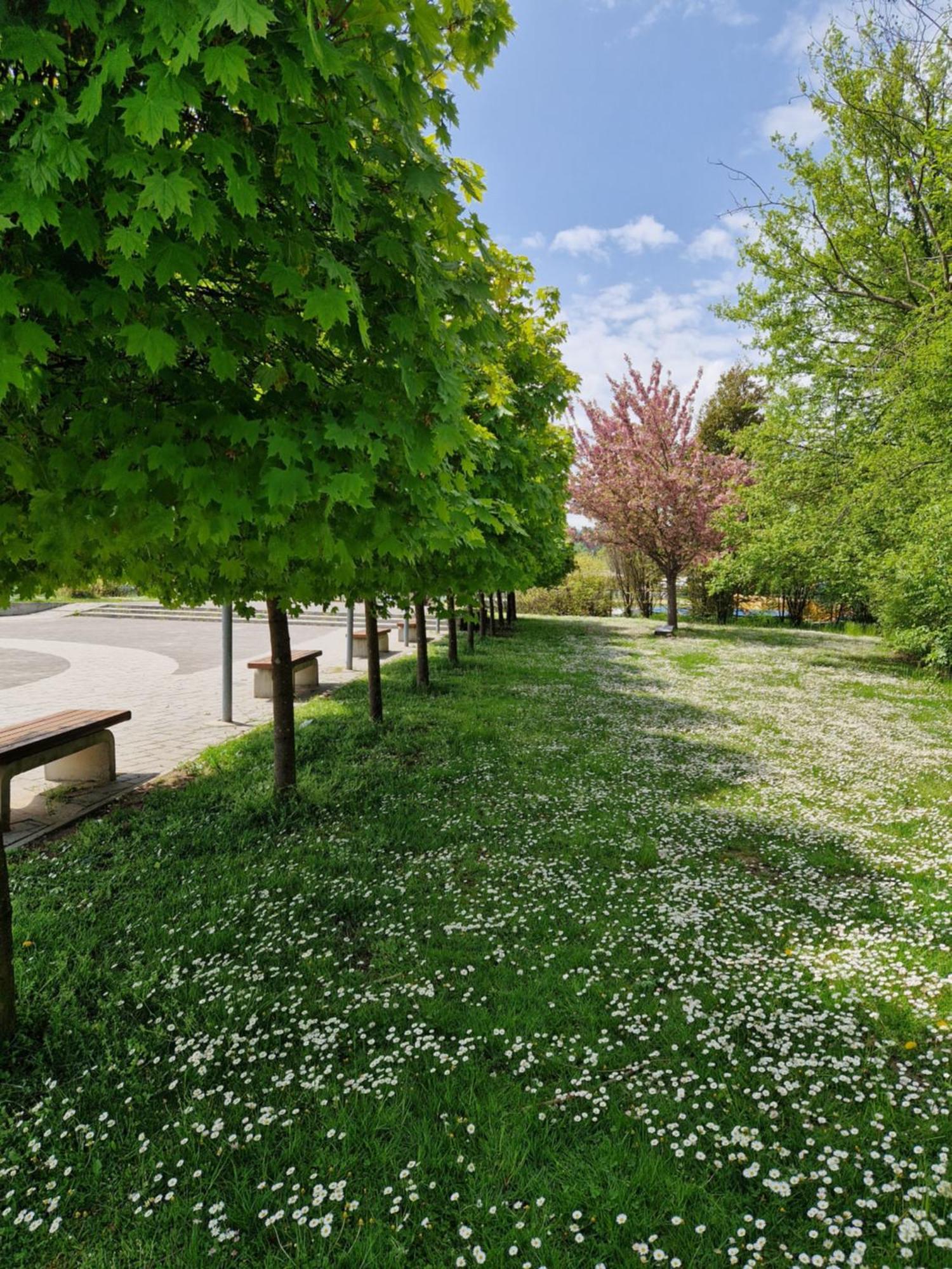 Suita Beli Labod Medvode Exterior foto